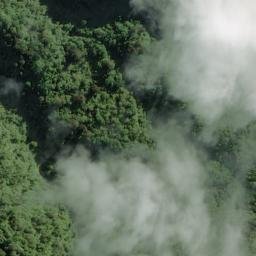 Satellite imagery of Malfroy Spur, NZ