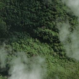 Satellite imagery of Malfroy Spur, NZ