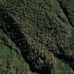 Satellite imagery of Table Spur, NZ