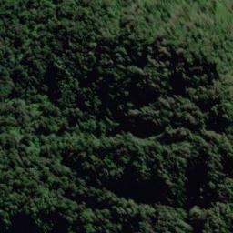 Satellite imagery of Henry Ridge, NZ
