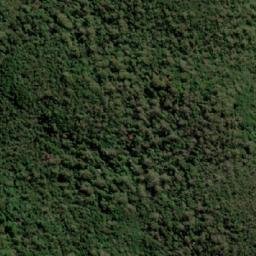 Satellite imagery of Lots Wife, AU
