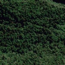 Satellite imagery of Henry Ridge, NZ