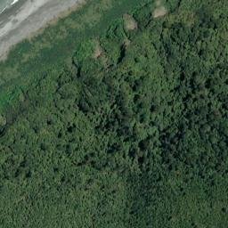Satellite imagery of Bold Head, NZ