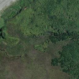 Satellite imagery of Bold Head, NZ