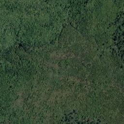 Satellite imagery of Bold Head, NZ