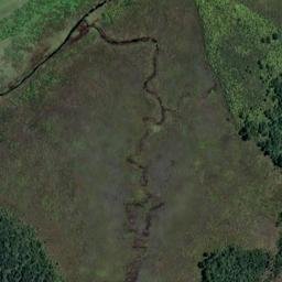 Satellite imagery of Bold Head, NZ
