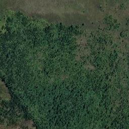 Satellite imagery of Bold Head, NZ