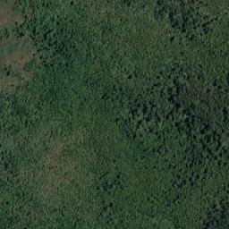 Satellite imagery of Bold Head, NZ