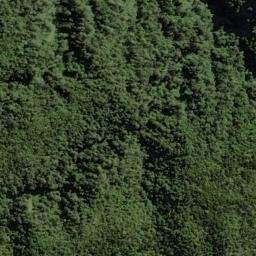 Satellite imagery of Ford Ridge, NZ