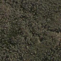 Satellite imagery of Mount Augustus, AU