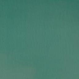 Satellite imagery of Wanganui Bluff, NZ