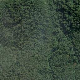 Satellite imagery of Pukutuaro Cliff, NZ