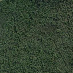 Satellite imagery of Pukutuaro Cliff, NZ