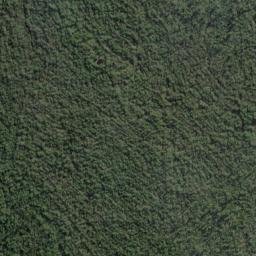 Satellite imagery of Pukutuaro Cliff, NZ