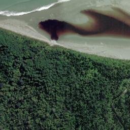 Satellite imagery of Wanganui Bluff, NZ
