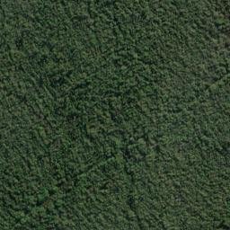 Satellite imagery of Pukutuaro Cliff, NZ