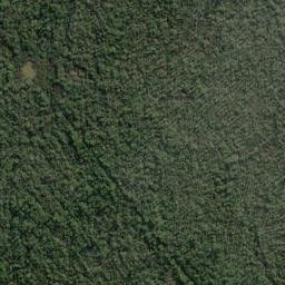 Satellite imagery of Pukutuaro Cliff, NZ