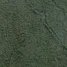 Satellite imagery of Pukutuaro Cliff, NZ