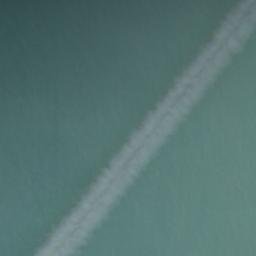 Satellite imagery of Wanganui Bluff, NZ