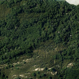 Satellite imagery of Bealey Spur, NZ