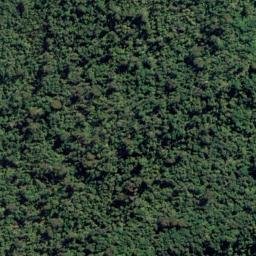 Satellite imagery of Cliffy Head, NZ