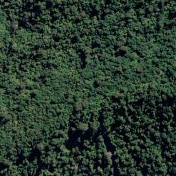 Satellite imagery of Cliffy Head, NZ