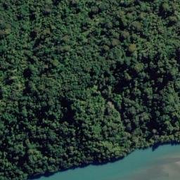 Satellite imagery of Cliffy Head, NZ