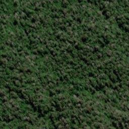 Satellite imagery of Conway Ridge, NZ