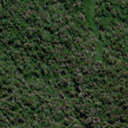 Satellite imagery of Conway Ridge, NZ