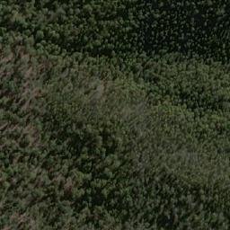 Satellite imagery of Bee Tree Hill, AU