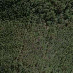 Satellite imagery of Bee Tree Hill, AU
