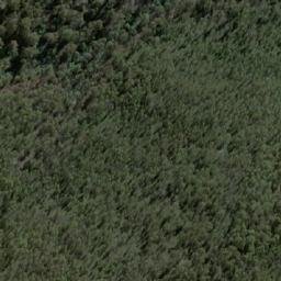Satellite imagery of Bee Tree Hill, AU