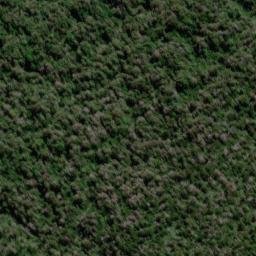 Satellite imagery of Conway Ridge, NZ