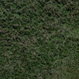 Satellite imagery of Conway Ridge, NZ