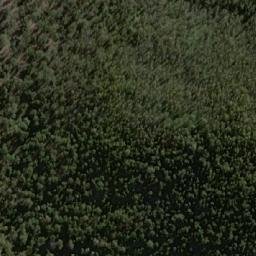 Satellite imagery of Bee Tree Hill, AU
