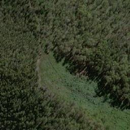 Satellite imagery of Bee Tree Hill, AU