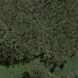 Satellite imagery of Bee Tree Hill, AU