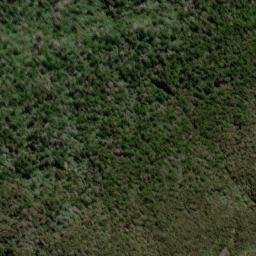 Satellite imagery of Conway Ridge, NZ