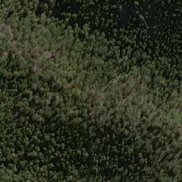 Satellite imagery of Bee Tree Hill, AU