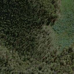 Satellite imagery of Bee Tree Hill, AU