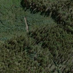 Satellite imagery of Bee Tree Hill, AU