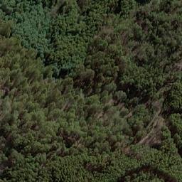 Satellite imagery of Sunny Hills, AU