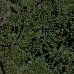 Satellite imagery of Sunny Hills, AU