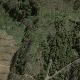 Satellite imagery of Sunny Hills, AU