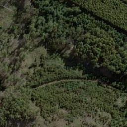 Satellite imagery of Sunny Hills, AU
