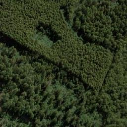 Satellite imagery of Sunny Hills, AU