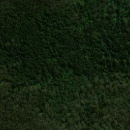 Satellite imagery of Lichen Hill, AU