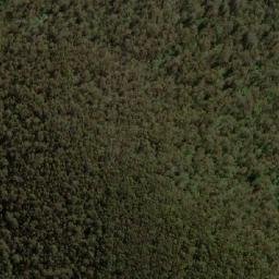 Satellite imagery of Wellings Hill, AU