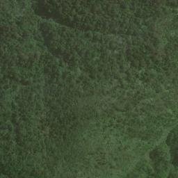 Satellite imagery of Swandri Spur, NZ