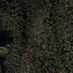 Satellite imagery of Auk Point, AU